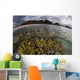 Large Colony Soft Coral Water Surface Wall Decal