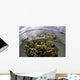 Fire Coral Grows Shallows Wall Decal