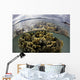 Fire Coral Grows Shallows Wall Decal