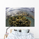 Fire Coral Grows Shallows Wall Decal