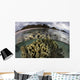 Fire Coral Grows Shallows Water Surface Wall Decal