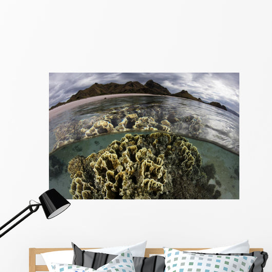 Fire Coral Grows Shallows Water Surface Wall Decal
