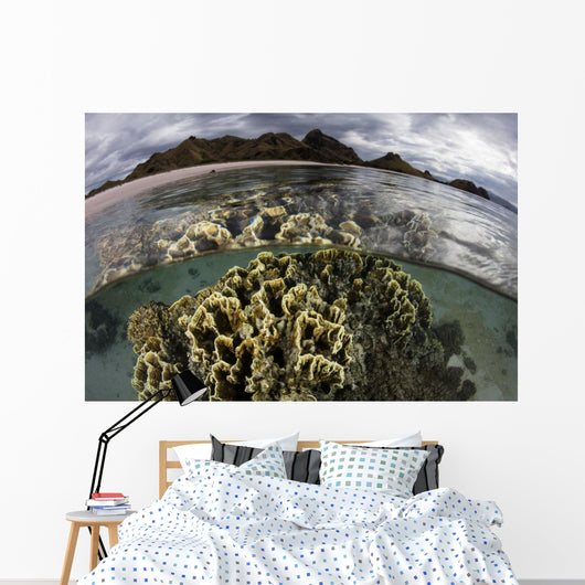 Fire Coral Grows Shallows Water Surface Wall Decal
