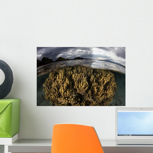 Large Colony Soft Coral Wall Decal