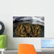 Large Colony Soft Coral Wall Decal