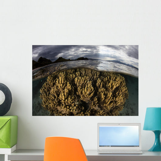 Large Colony Soft Coral Wall Decal