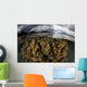 Large Colony Soft Coral Wall Decal