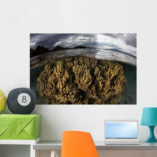 Large Colony Soft Coral Wall Decal