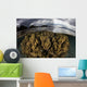 Large Colony Soft Coral Wall Decal