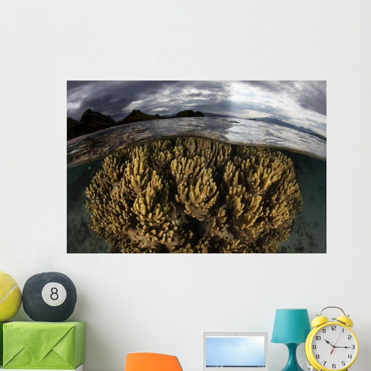Large Colony Soft Coral Wall Decal