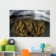 Large Colony Soft Coral Wall Decal