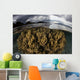 Large Colony Soft Coral Wall Decal