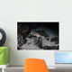 Hawksbill Sea Turtle Reef Ocean Floor Wall Decal