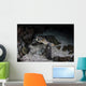 Hawksbill Sea Turtle Reef Ocean Floor Wall Decal