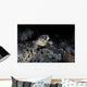 Hawksbill Sea Turtle Reef Wall Decal