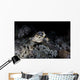 Hawksbill Sea Turtle Reef Wall Decal