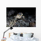 Hawksbill Sea Turtle Reef Wall Decal