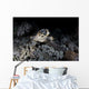 Hawksbill Sea Turtle Reef Wall Decal