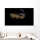 Bigfin Reef Squid Swimming Wall Decal