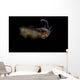 Bigfin Reef Squid Swimming Wall Decal