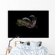 Bigfin Reef Squid Tentacles Wall Decal