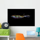 Bigfin Reef Squid Horizontal Wall Decal