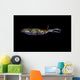 Bigfin Reef Squid Horizontal Wall Decal