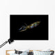 Bigfin Reef Squid Left Side Wall Decal