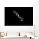 Bigfin Reef Squid Right Side Wall Decal
