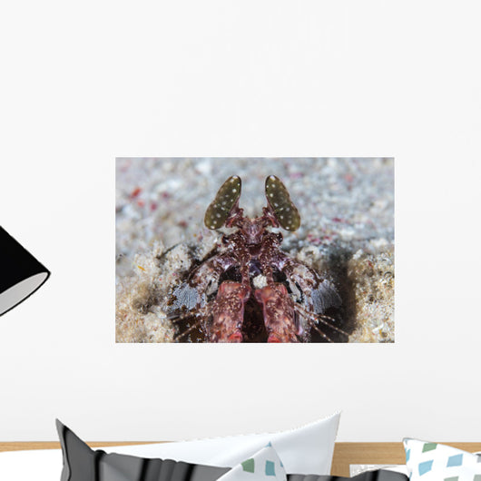 Large Mantis Shrimp Lesser Wall Decal