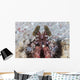 Large Mantis Shrimp Lesser Wall Decal