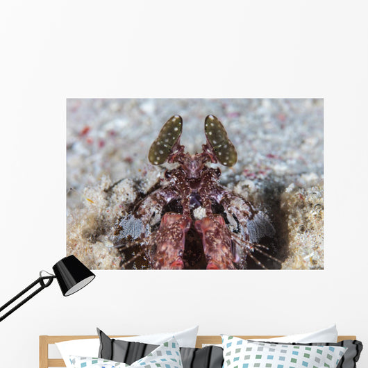 Large Mantis Shrimp Lesser Wall Decal