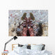 Large Mantis Shrimp Lesser Wall Decal