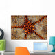 Detail Pin Cushion Starfish Wall Decal