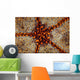 Detail Pin Cushion Starfish Wall Decal