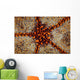 Detail Pin Cushion Starfish Wall Decal