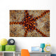Detail Pin Cushion Starfish Wall Decal