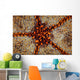 Detail Pin Cushion Starfish Wall Decal