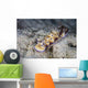 Pair Beautiful Nudibranchs Crawl Wall Decal