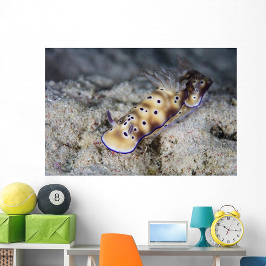 Pair Beautiful Nudibranchs Crawl Wall Decal