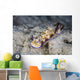 Pair Beautiful Nudibranchs Crawl Wall Decal