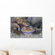Beautiful Nudibranch Crawls along Wall Decal