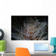 Detail Feather Duster Worm Close-up Wall Decal