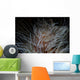 Detail Feather Duster Worm Close-up Wall Decal