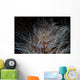 Detail Feather Duster Worm Close-up Wall Decal