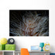 Detail Feather Duster Worm Close-up Wall Decal