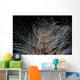 Detail Feather Duster Worm Close-up Wall Decal