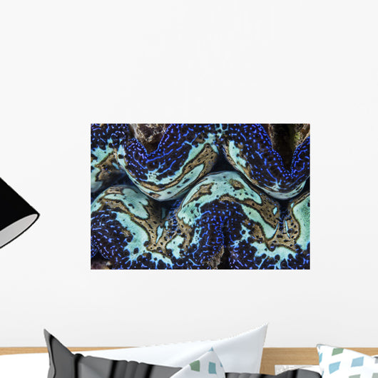 Detail Colorful Giant Clam Blue Wall Decal