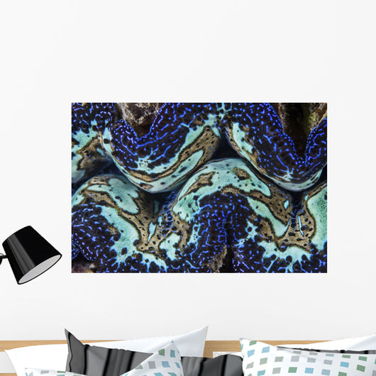 Detail Colorful Giant Clam Blue Wall Decal