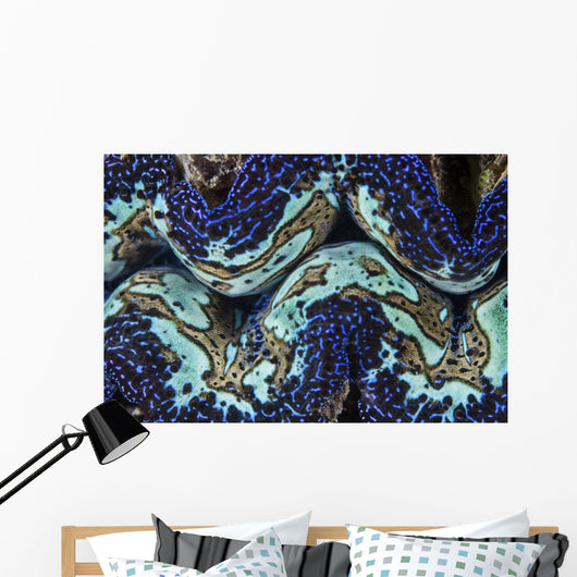 Detail Colorful Giant Clam Blue Wall Decal